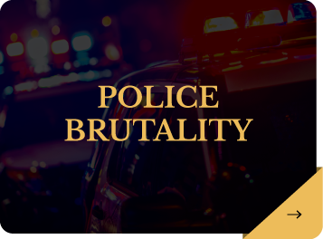 SamAnyan-Practice-areas-police-brutality